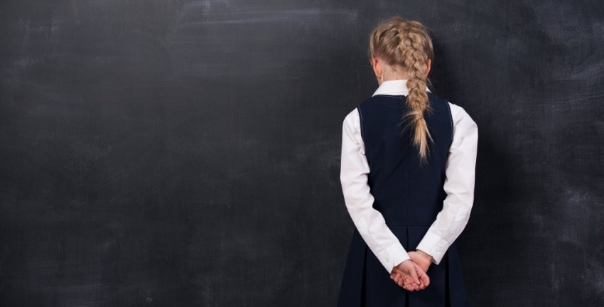 Школа слепок общественных отношений